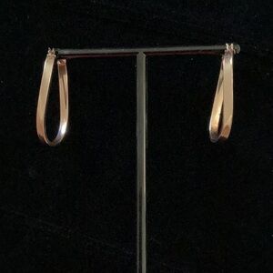 Sterling silver hoop earringsg